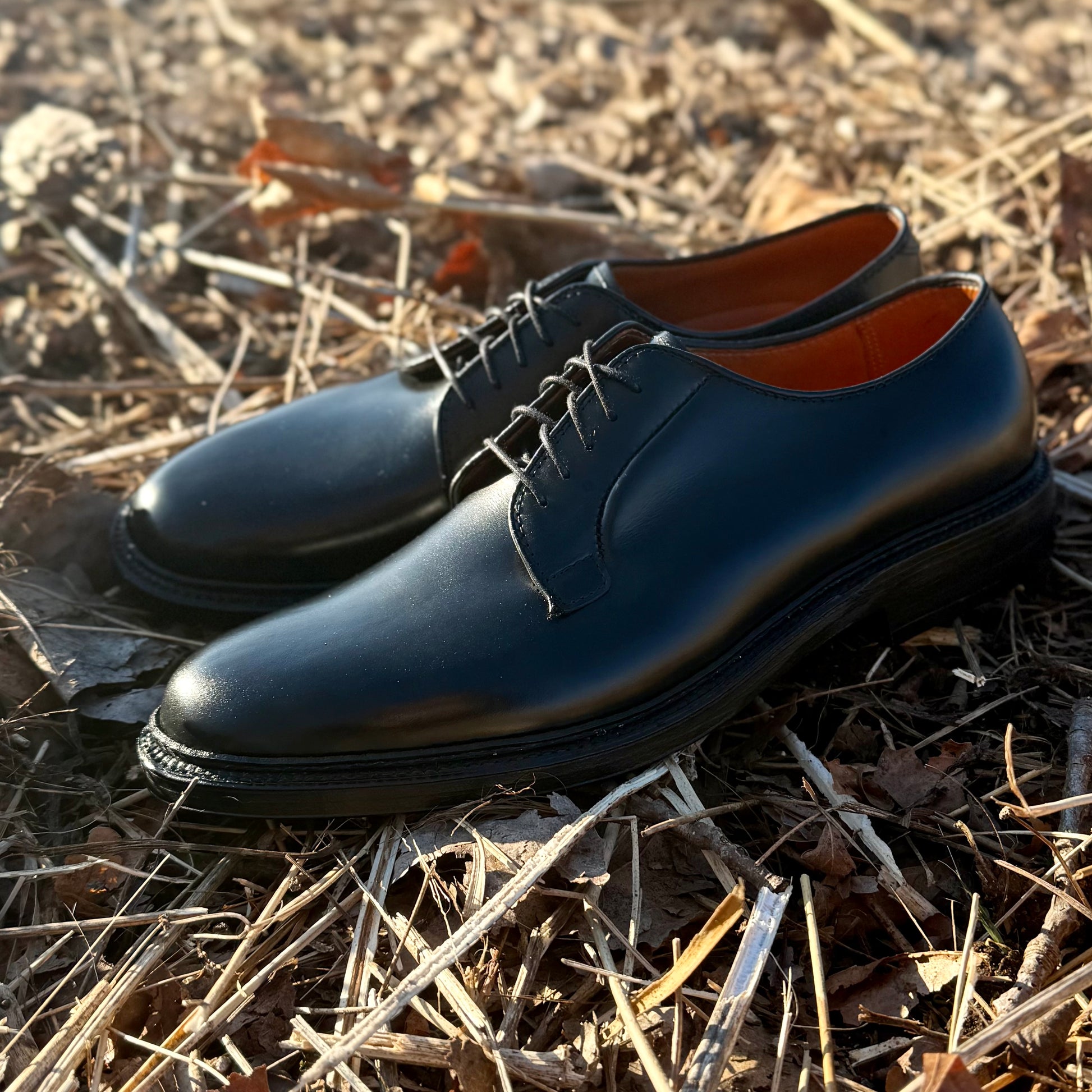 9909 - Black Calfskin Plain Toe Blucher 8 / E 9909 - Black Calfskin Plain Toe Blucher 8 / E