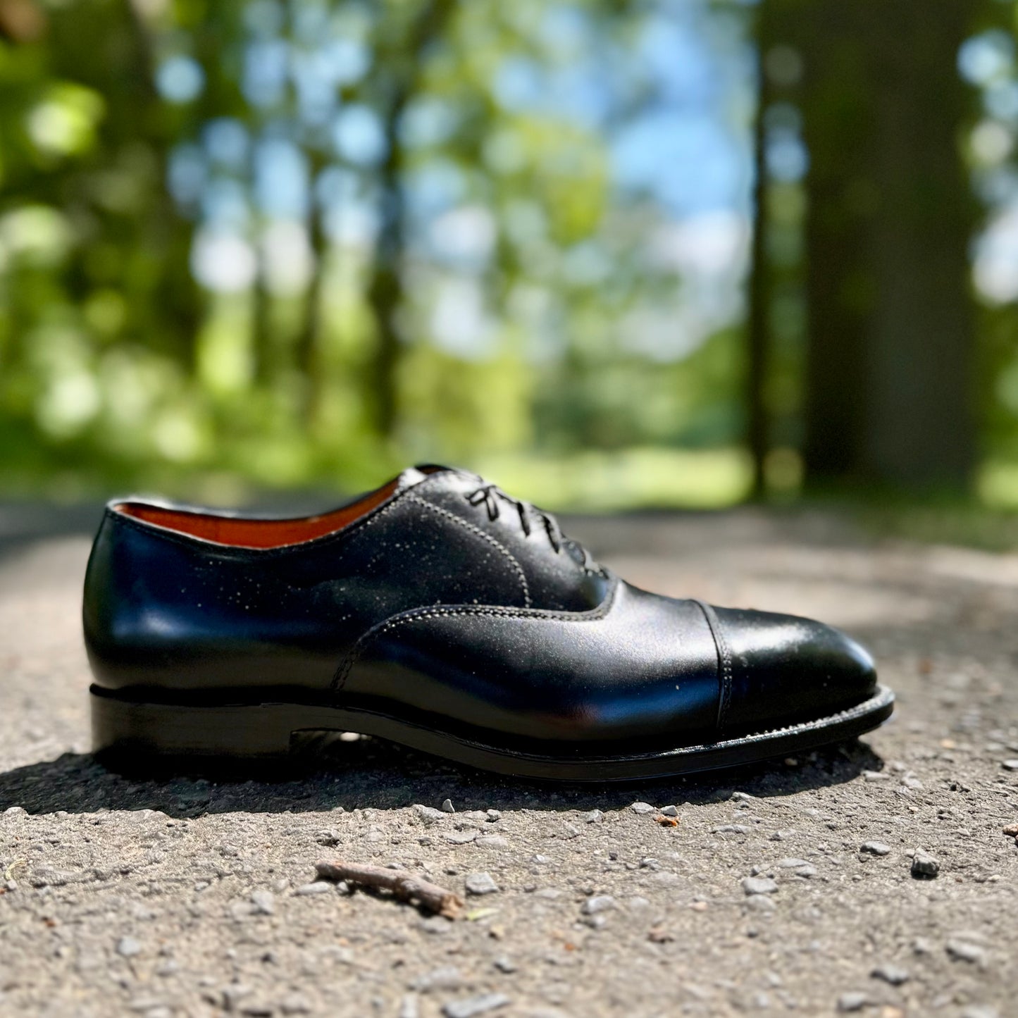 Alden Madisons 907 - Straight Tip Bal in Black Calfskin rests with laces and a leather sole on an outdoor paved path, surrounded by trees and greenery in soft, sunlight-blurred surroundings.