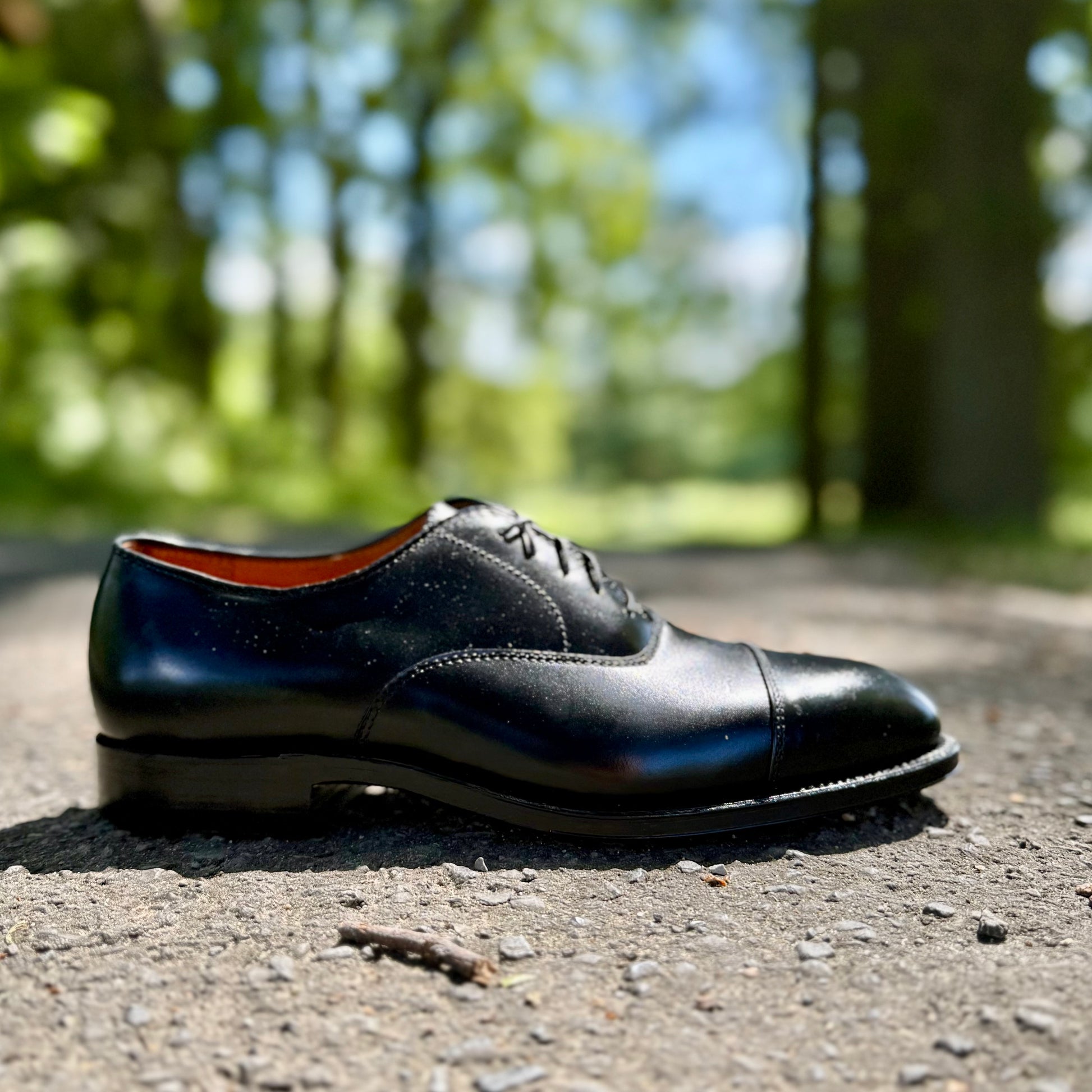 Alden Madisons 907 - Straight Tip Bal in Black Calfskin rests with laces and a leather sole on an outdoor paved path, surrounded by trees and greenery in soft, sunlight-blurred surroundings.