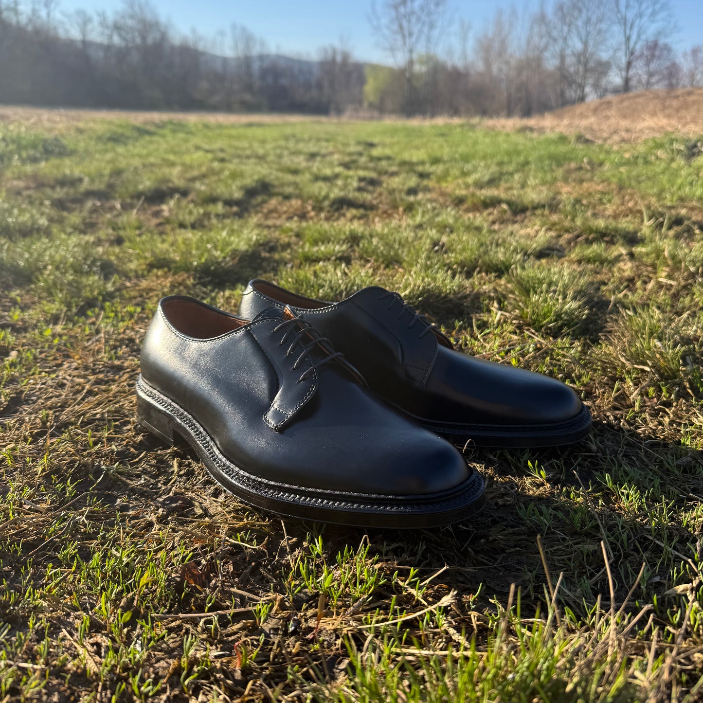 A pair of ALDEN SHOES 9909 - Black Calfskin Plain Toe Blucher dress shoes sits on green grass outdoors, with sunlight and trees in the background.