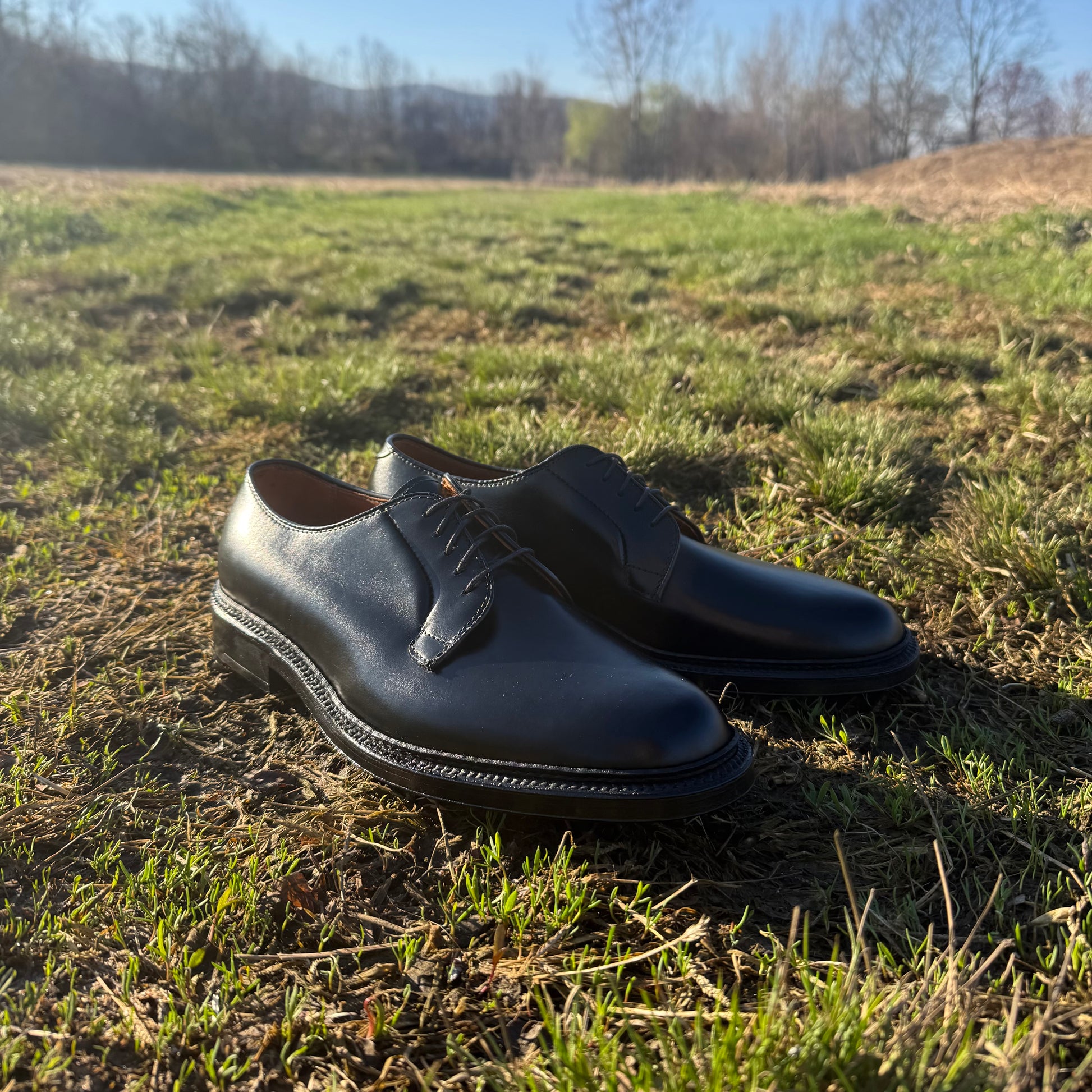 A pair of ALDEN SHOES 9909 - Black Calfskin Plain Toe Blucher dress shoes sits on green grass outdoors, with sunlight and trees in the background.