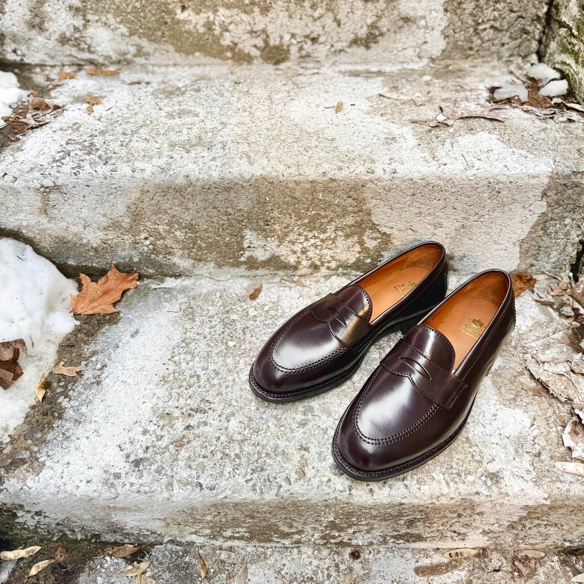 A pair of ALDEN SHOES 96948 - Copley Penny Loafer in Color 8 Shell with leather soles sits on worn stone steps outside, surrounded by scattered dry leaves and patches of snow.