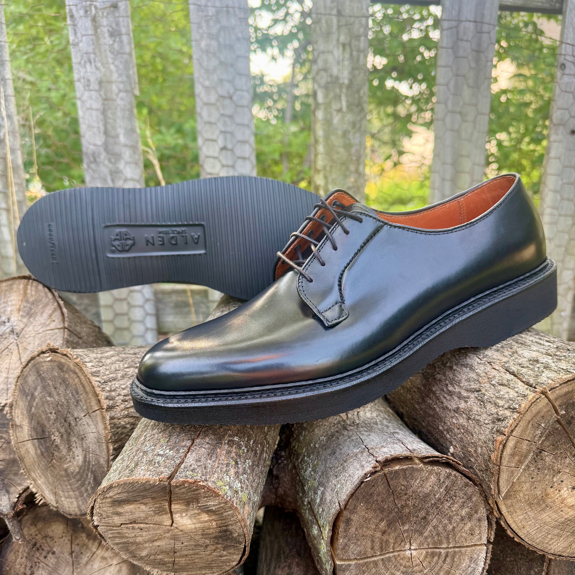 N1401- Black Calf Plain Toe Blucher w Wedge Sole 10.5 / D