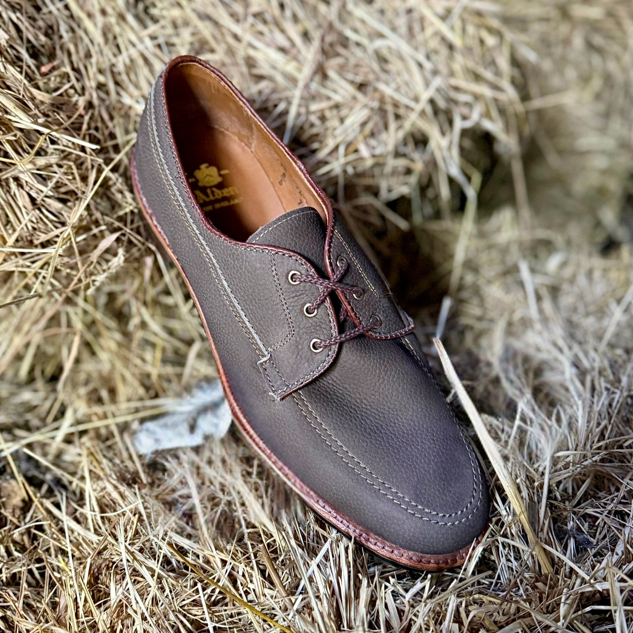 The Alden Madison 7351 - Ivy Blucher in Clay Nubuck rests on dry straw, featuring a rubber sole and white stitching.