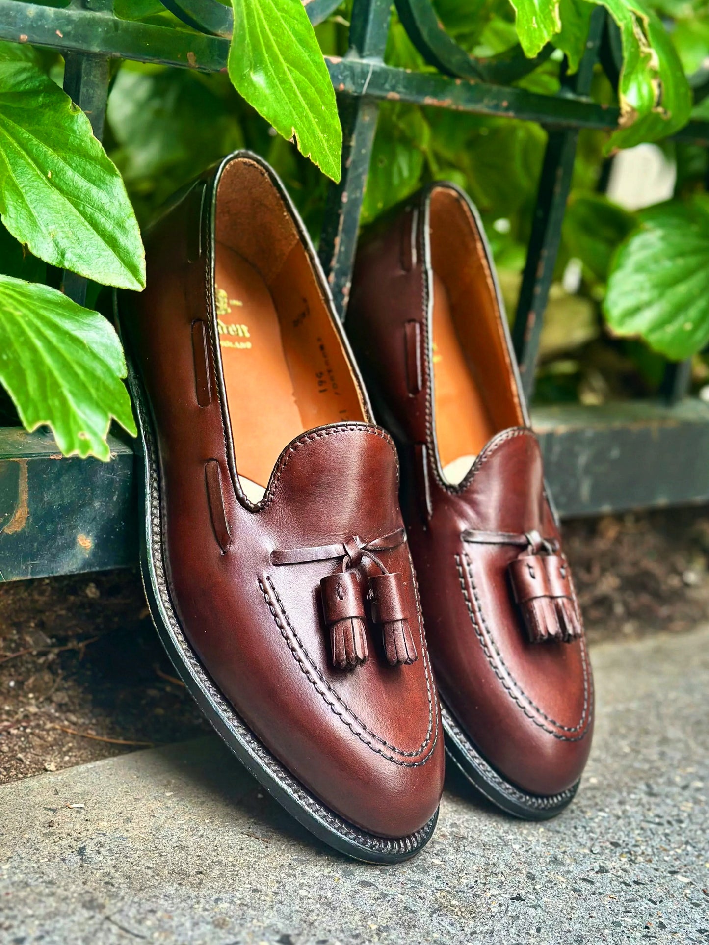 The Alden Madison 561 - Tassel Loafer in Brown Calfskin, featuring stitching details and a leather sole, is displayed side by side on pavement against a metal fence with leafy green plants.