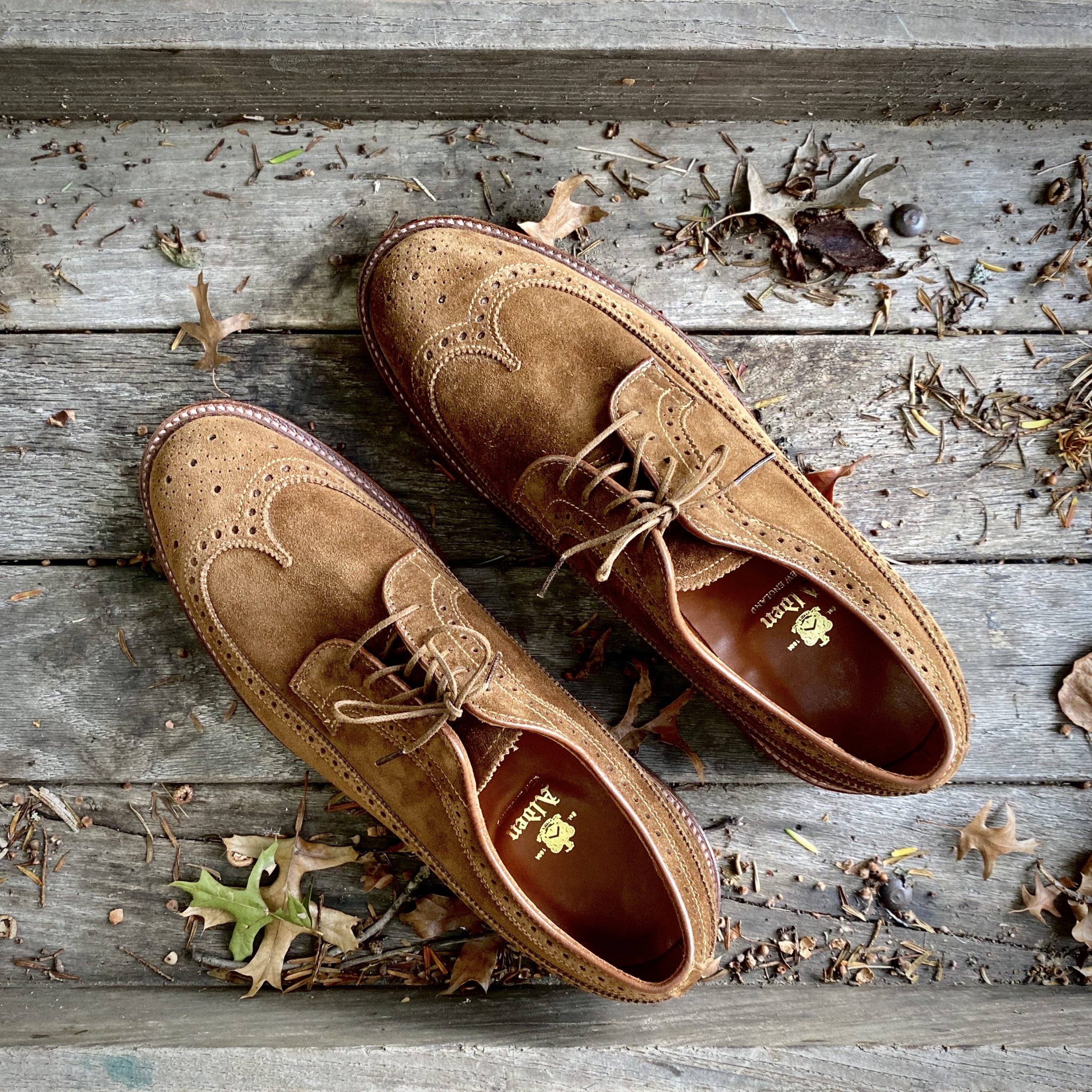 Alden sale suede blucher